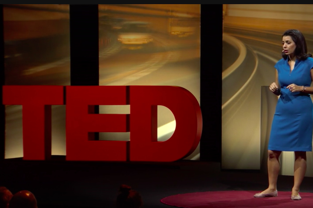 Ted Talk By Amel Karboul