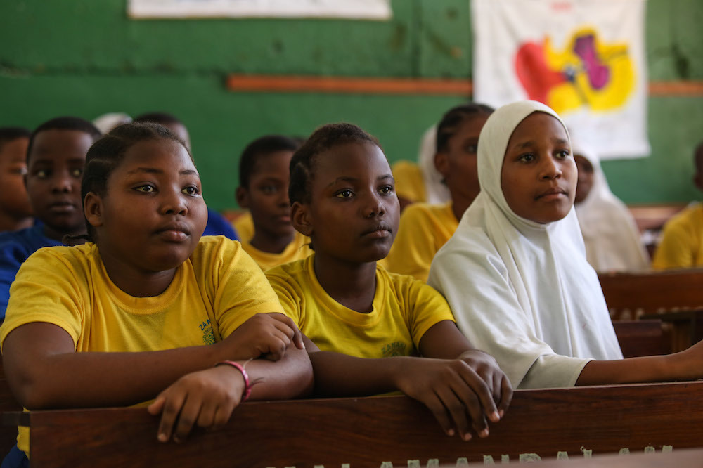 Tanzania Education Fees