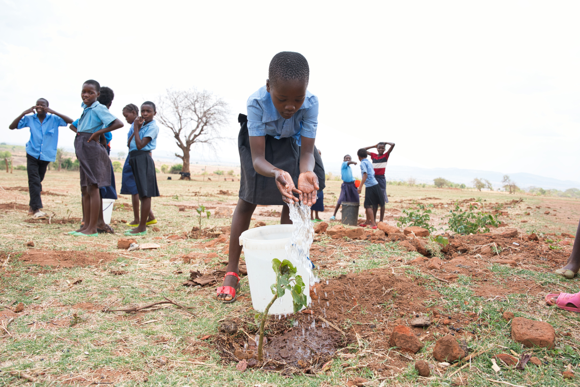 A student plants a tree as part of the Earth Warriors project implemented at Nkunga Community School in Zambia, run by local partner Impact Network (Theirworld/Jason J Mulikita)